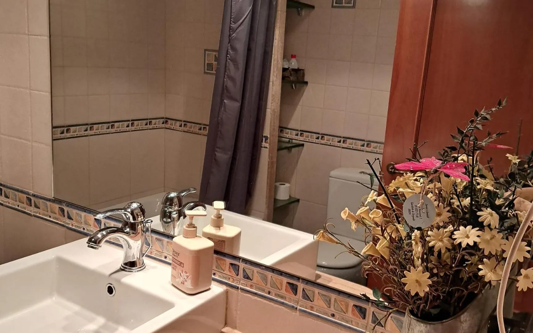 Ensija Pedraforca Apartment Saldes Spain